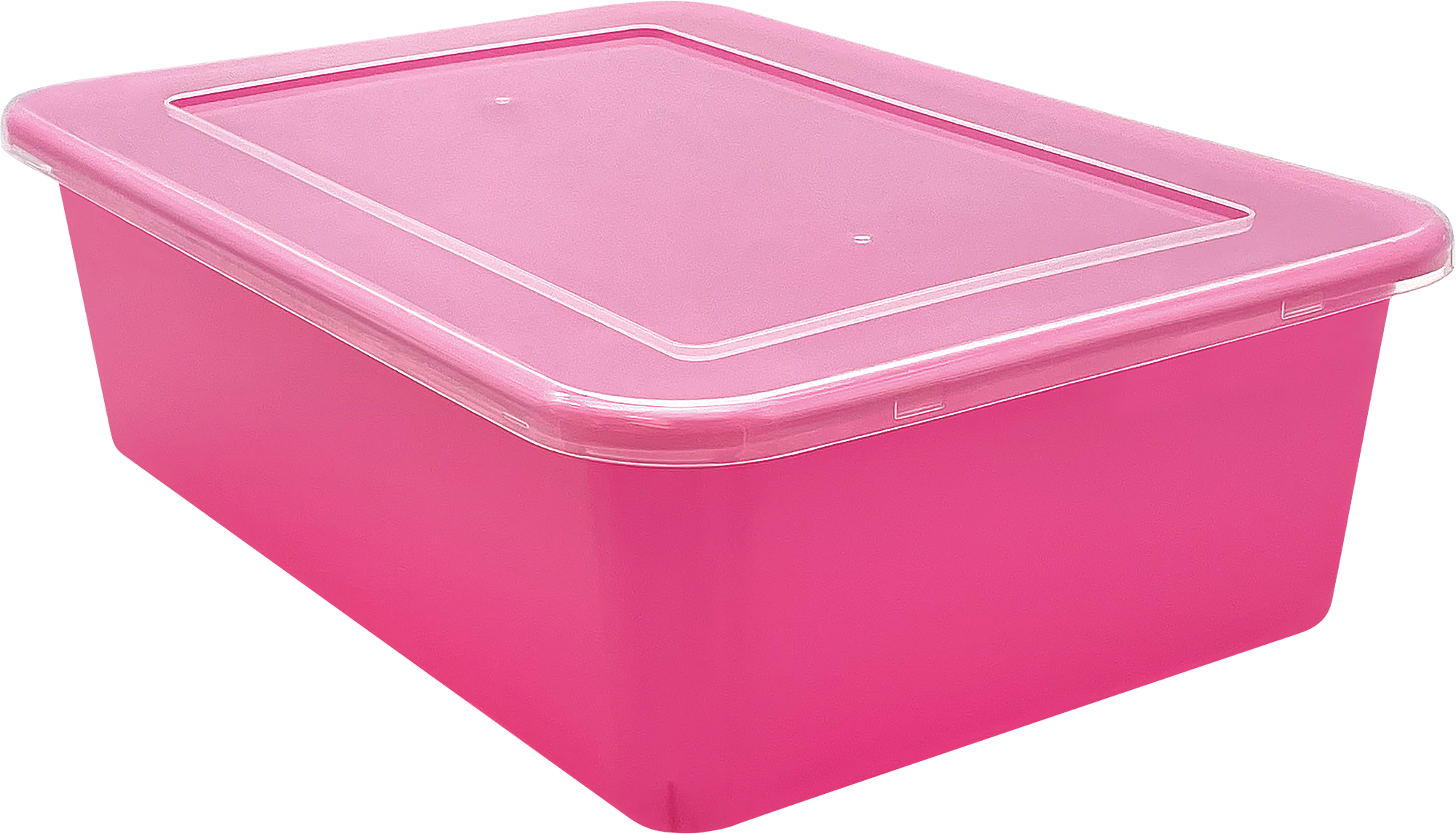 Large Clear Plastic Storage Bin Lid