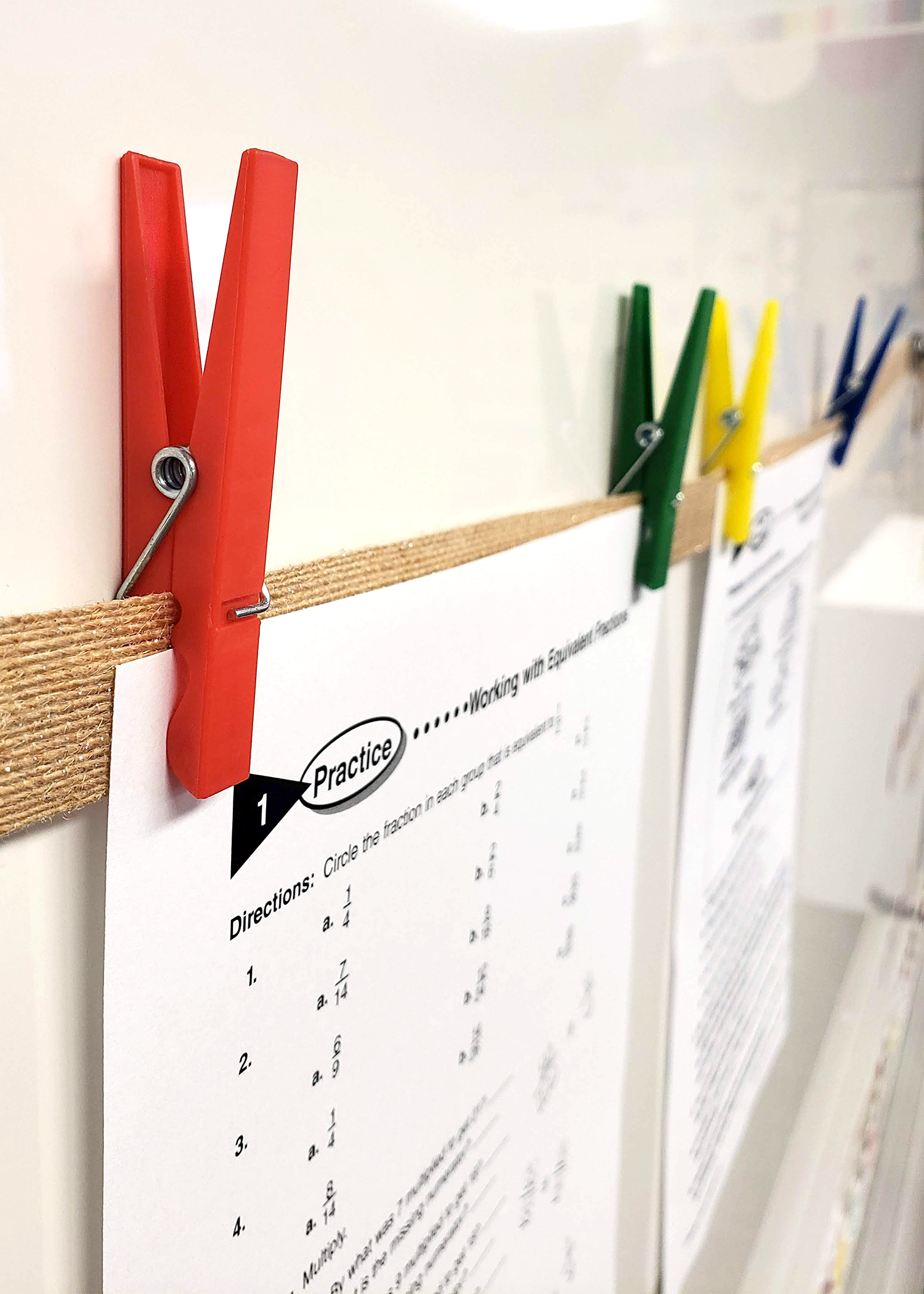 Plastic Clothespins