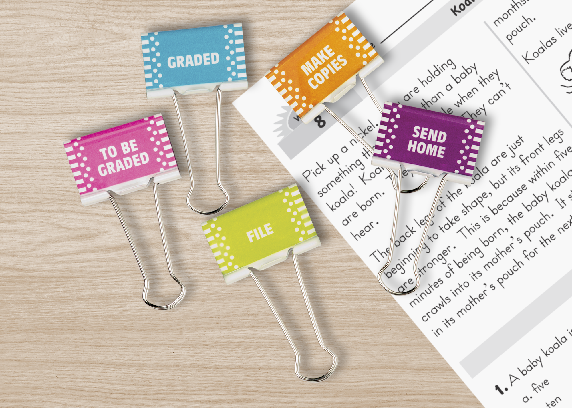 Classroom Management Large Binder Clips