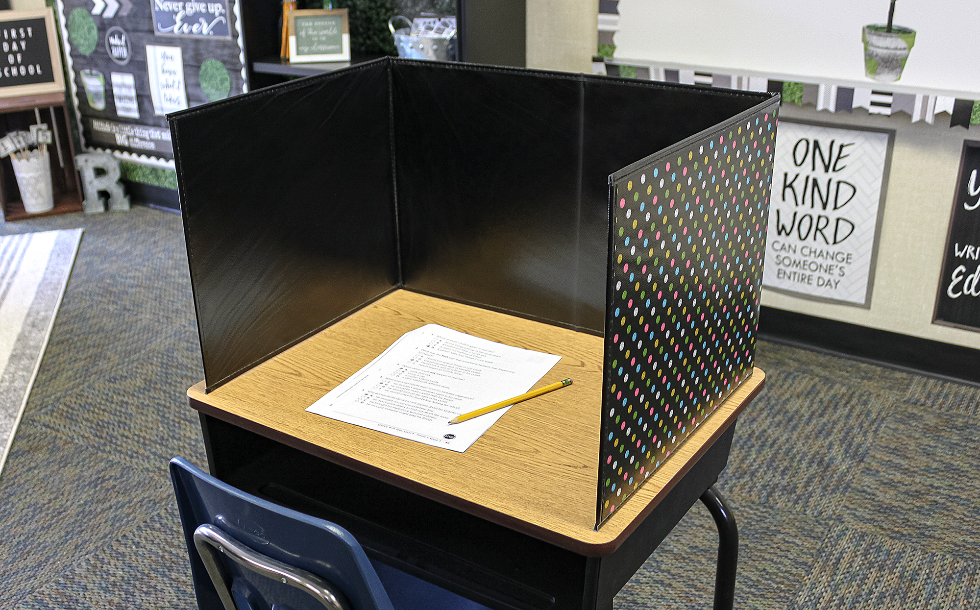 Chalkboard Brights Classroom Privacy Screen