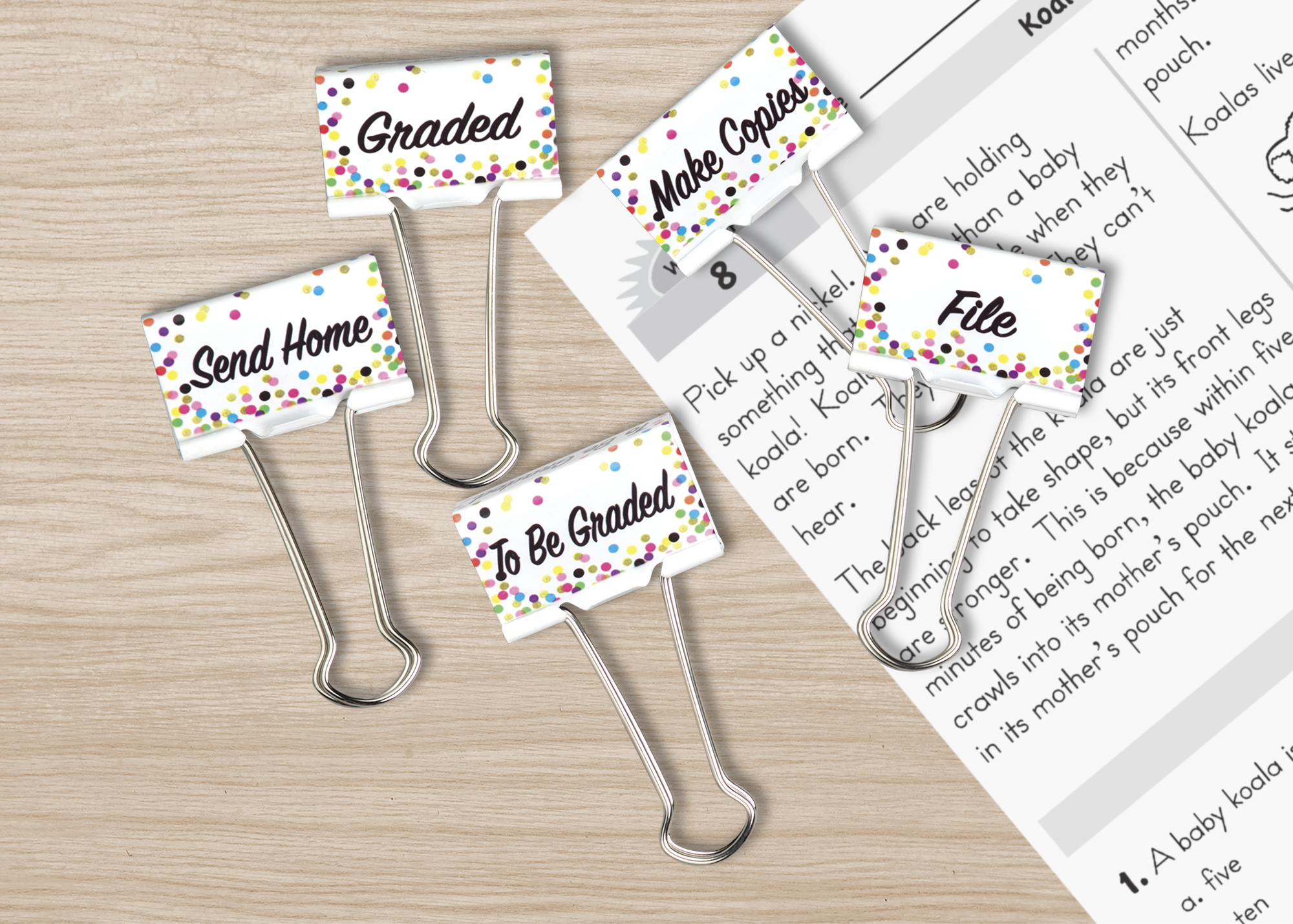 Confetti Classroom Management Large Binder Clips