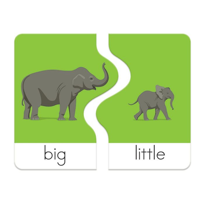 Reading Skills Puzzles: Opposites