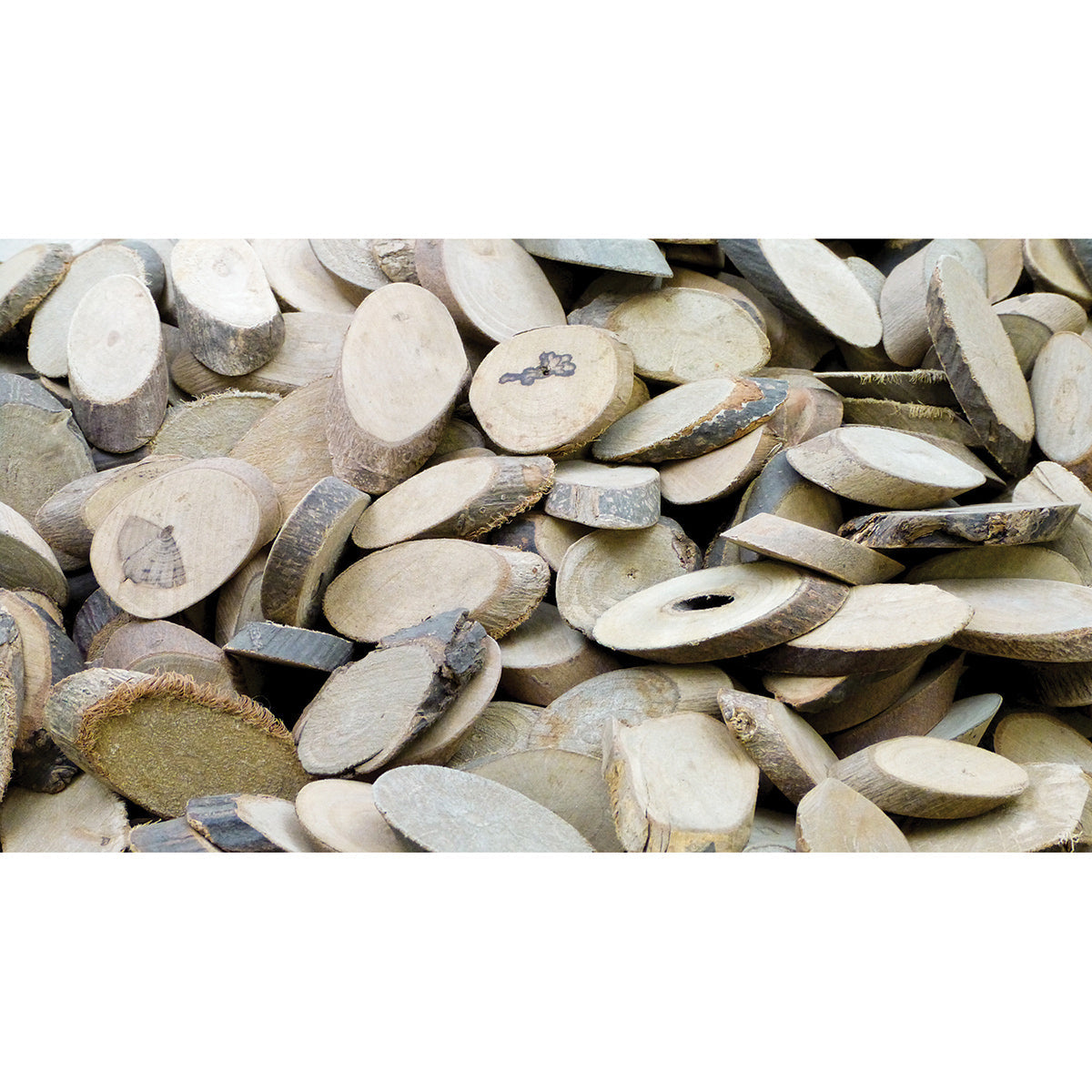 Wood Branch Cut Offs –Oval