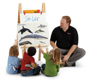 Jonti-Craft® Teachers' Standard Easel - Write-n-Wipe