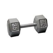 Cast Hex Db 35Lb