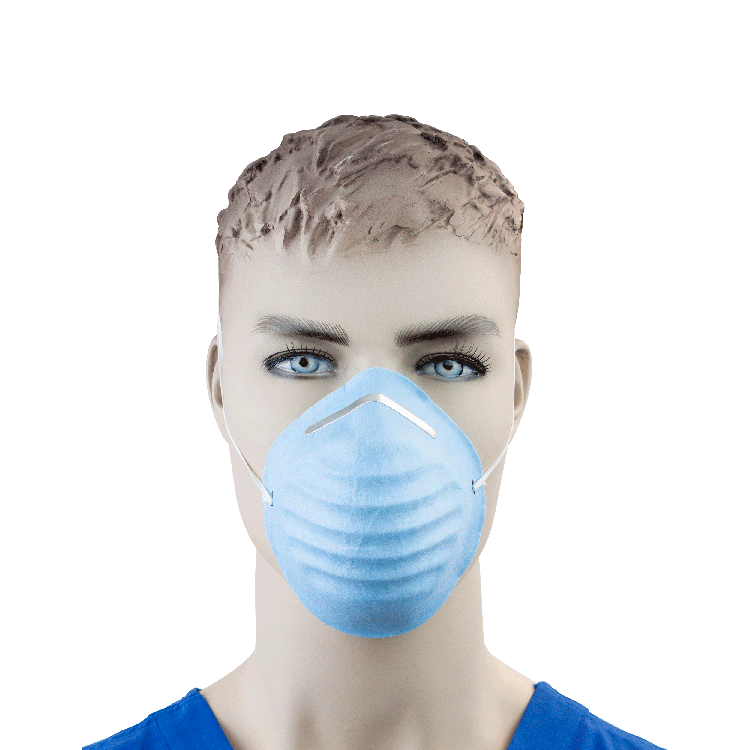 Molded Face Mask, Blue - 50 pcs per Box/20 Boxes per Case