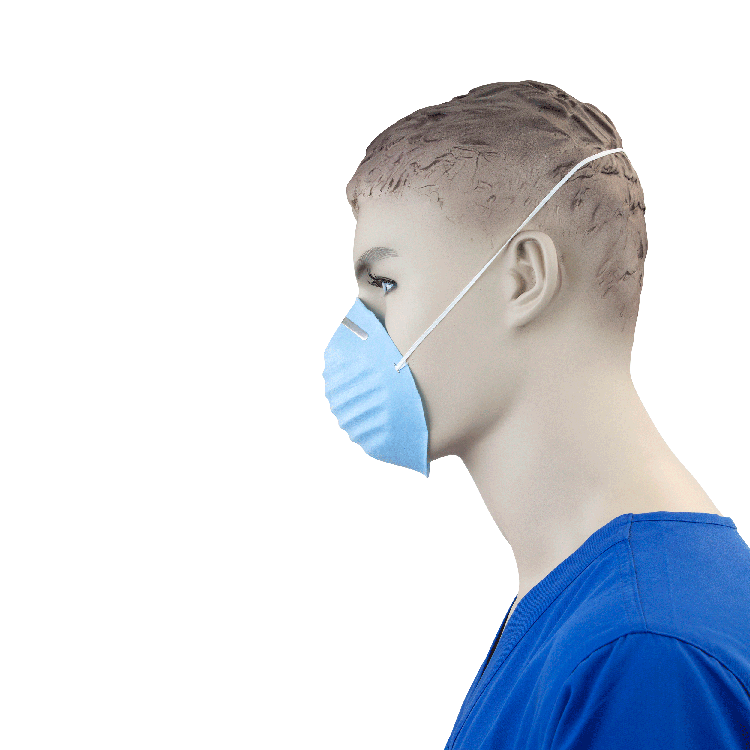 Molded Face Mask, Blue - 50 pcs per Box/20 Boxes per Case