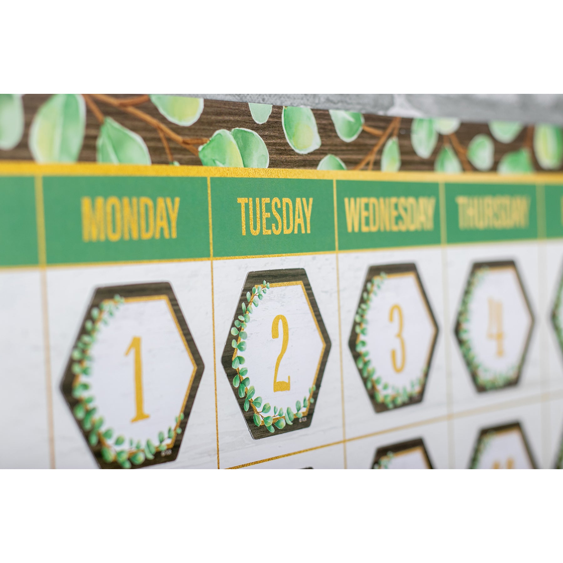 Eucalyptus Calendar Bulletin Board