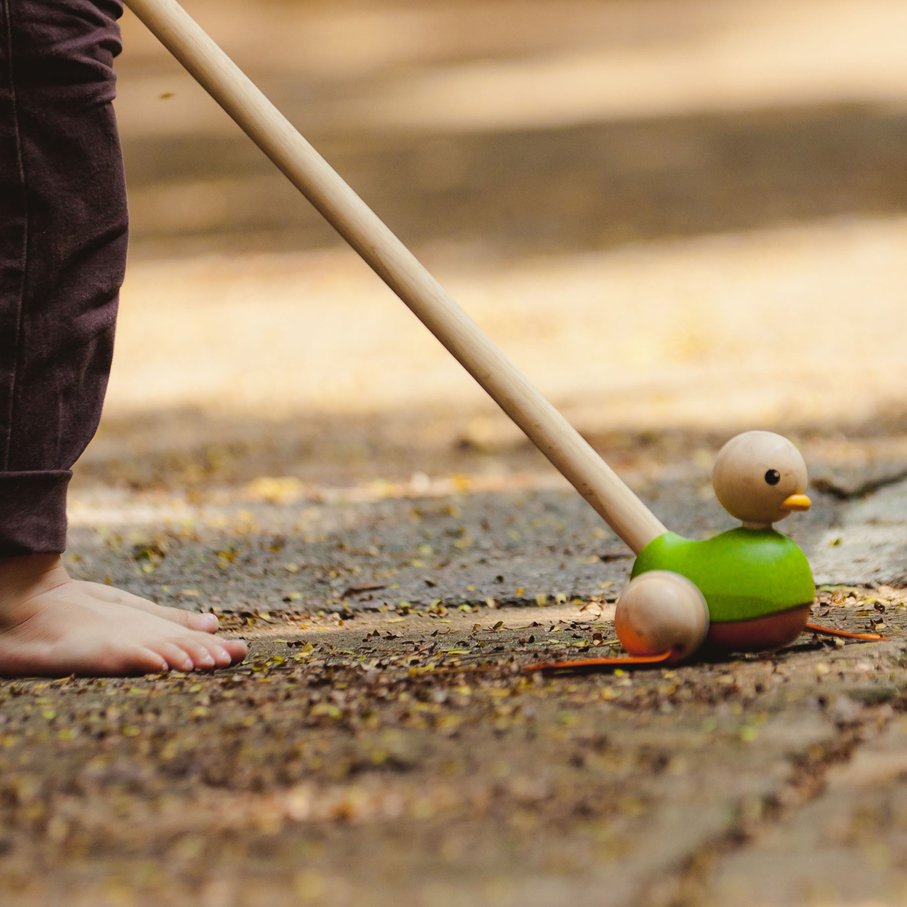 Wooden Push Along Duck Toy