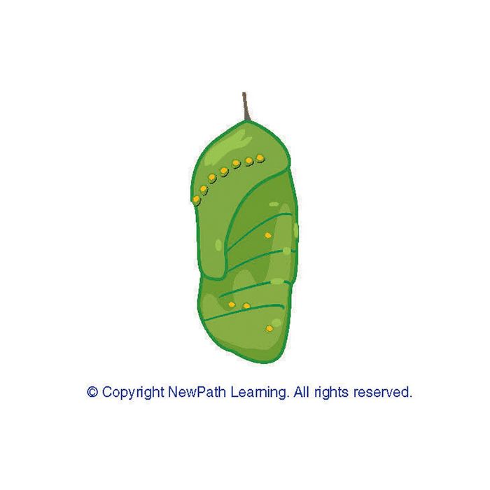 All About Animals Learning Center Game