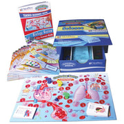 Biology & the Human Body (Class-Pack)
