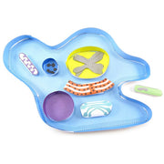 Amoeba 3-D Model Kit