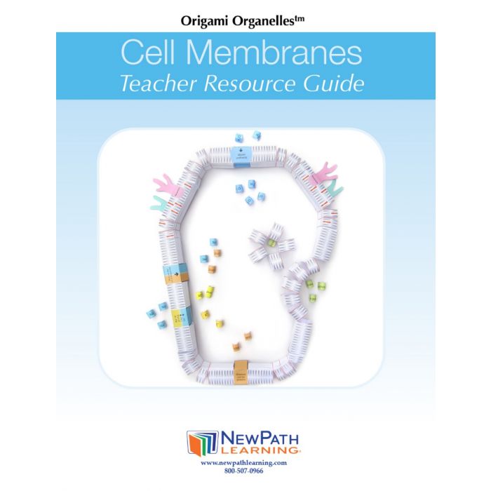 Cell Membranes 3-D Model Kit