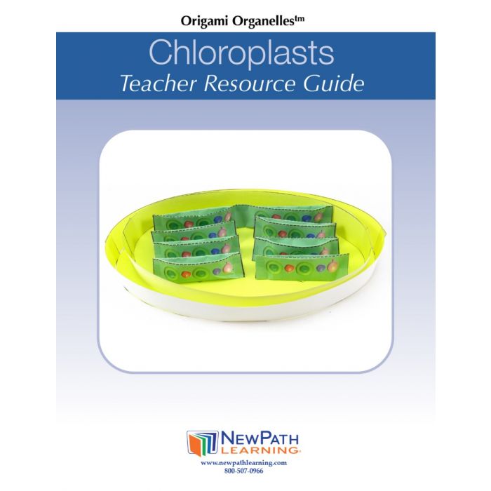 Chloroplasts 3-D Model Kit