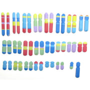 Chromosomes 3-D Model Kit