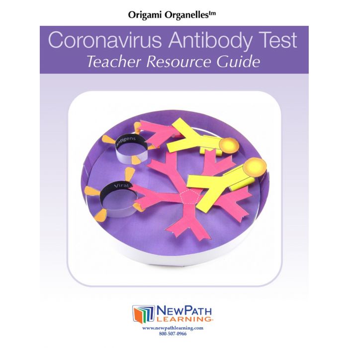 Coronavirus Antibody Test 3-D Model Kit