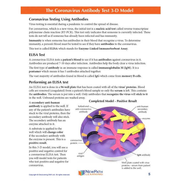 Coronavirus Antibody Test 3-D Model Kit