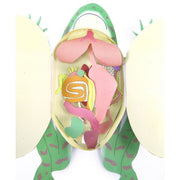 Frog Dissection 3-D Model Kit