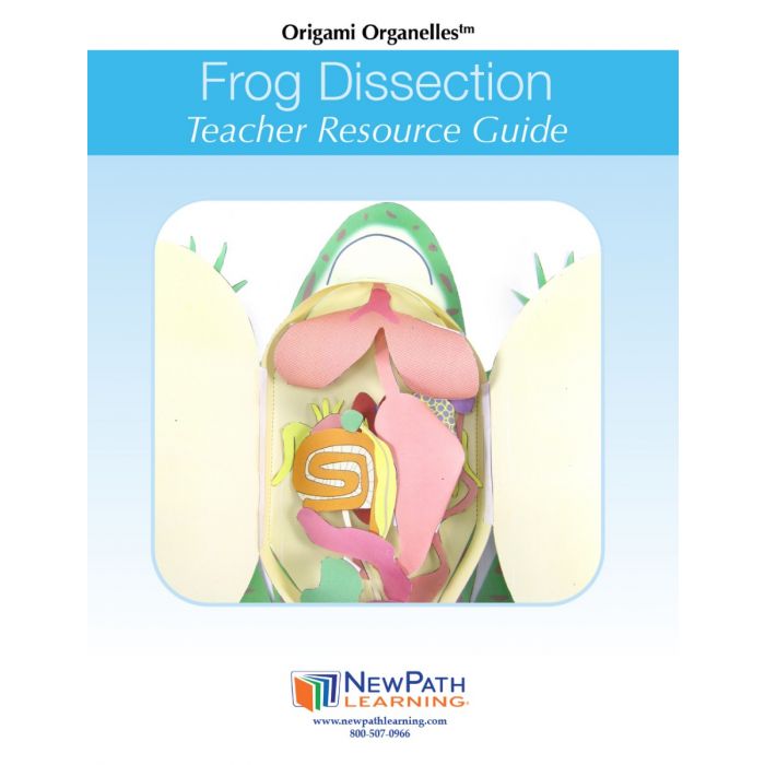 Frog Dissection 3-D Model Kit