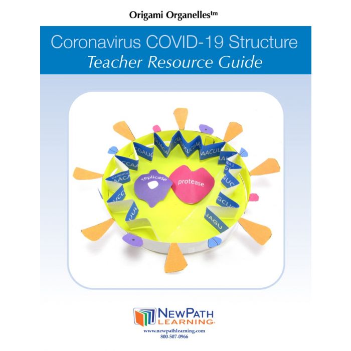 Coronavirus COVID-19 Structure 3-D Model Kit