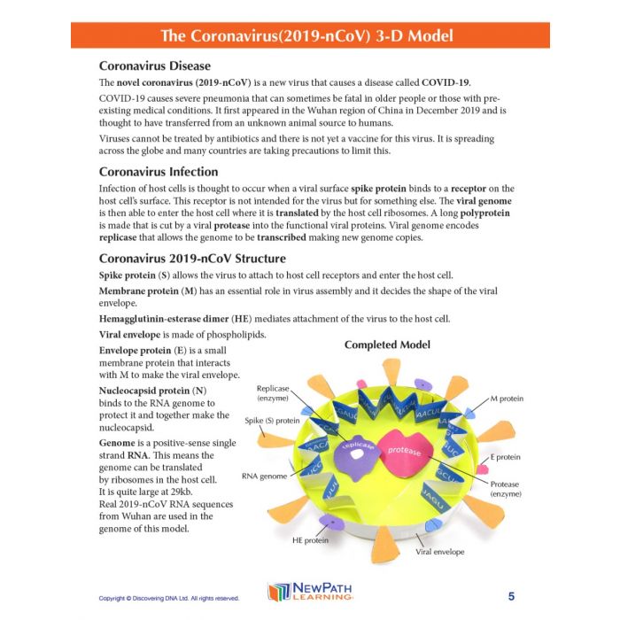 Coronavirus COVID-19 Structure 3-D Model Kit