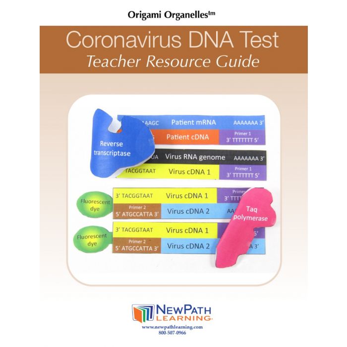 Coronavirus DNA Test 3-D Model Kit