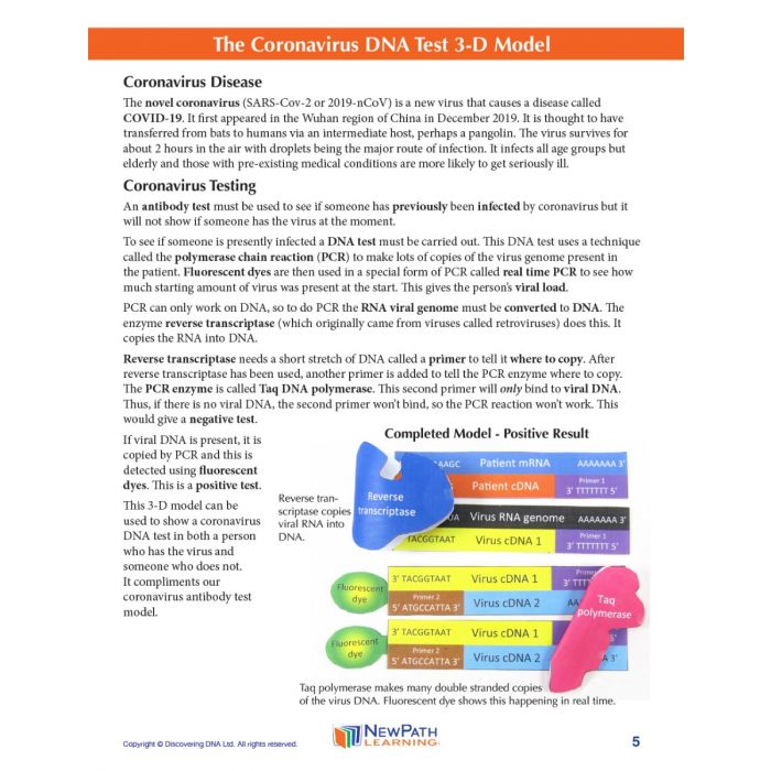 Coronavirus DNA Test 3-D Model Kit