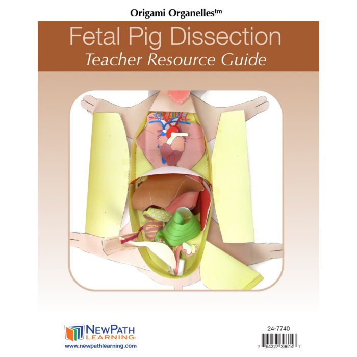 Fetal Pig Dissection 3-D Model Kit
