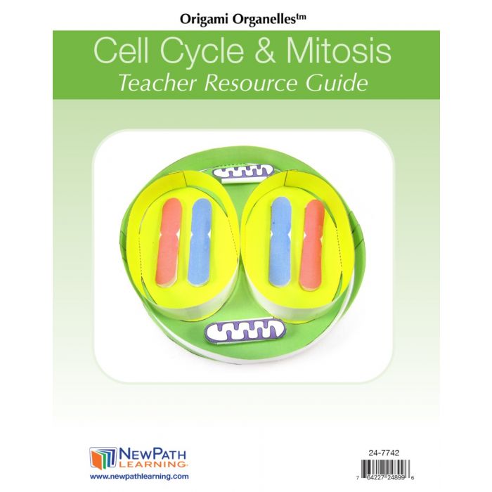 Cell Cycle & Mitosis 3-D Model Kit