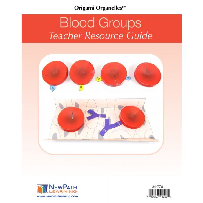 Blood Groups 3D Model Kit