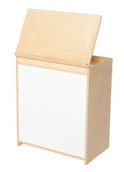 Big Book Display with Markerboard
