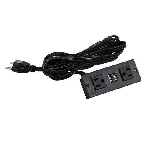 Power Module with 2 Power and 2 USB Outlets