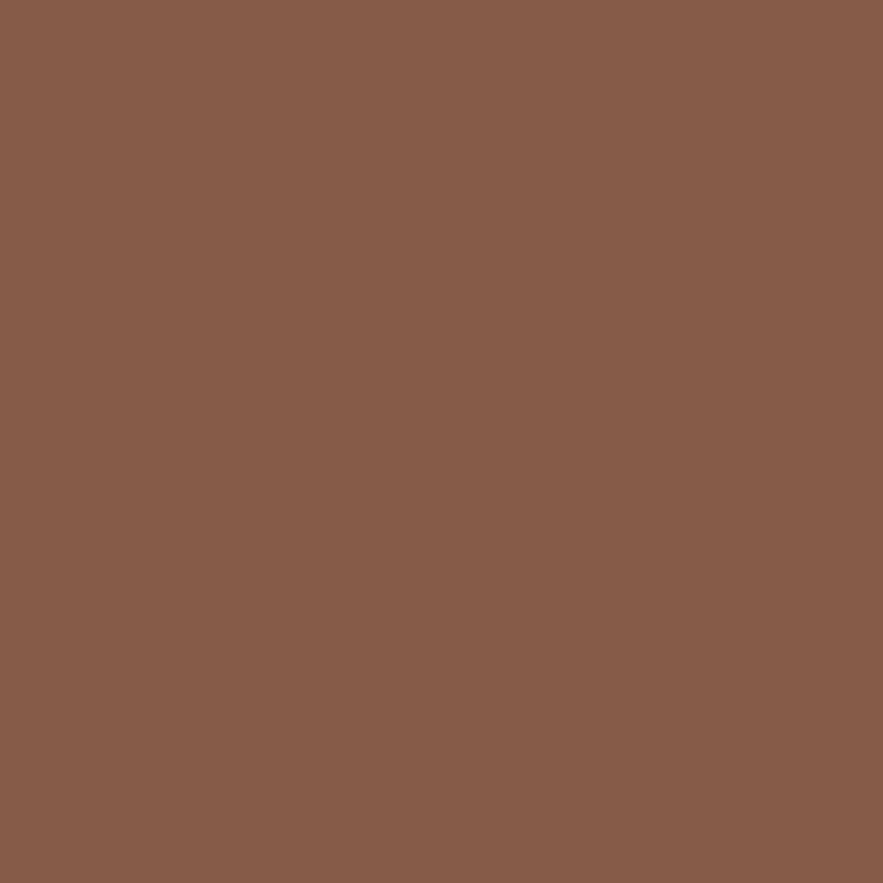 Acrylic Paint Matte, 8oz., Nutmeg Brown