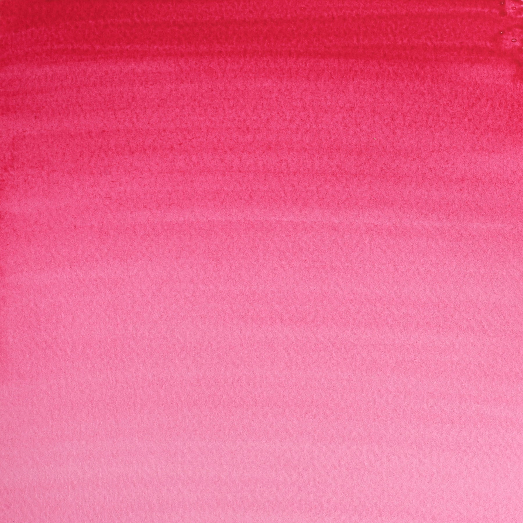 CWC Half Pan - Permanent Rose