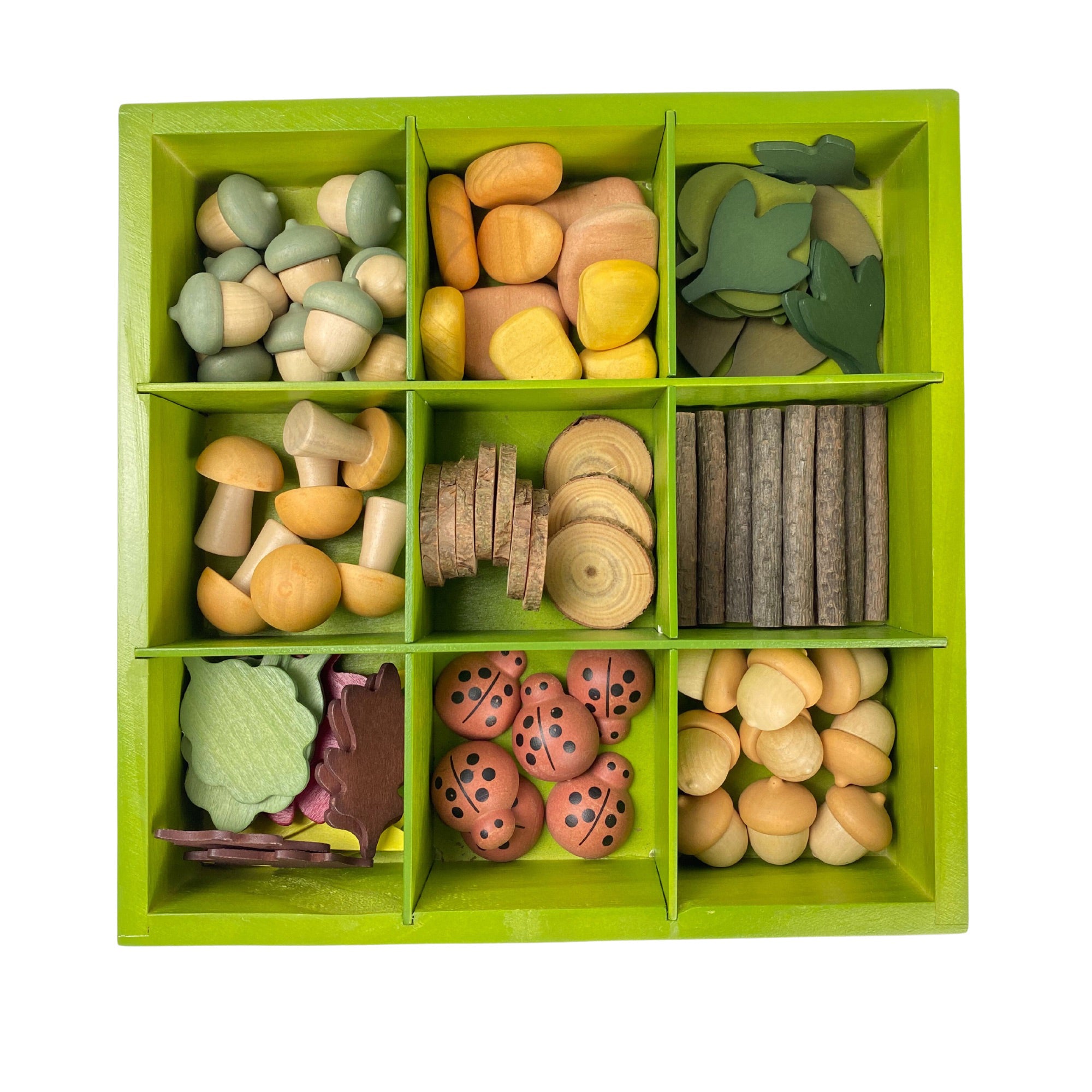 Nature's Sorting Box