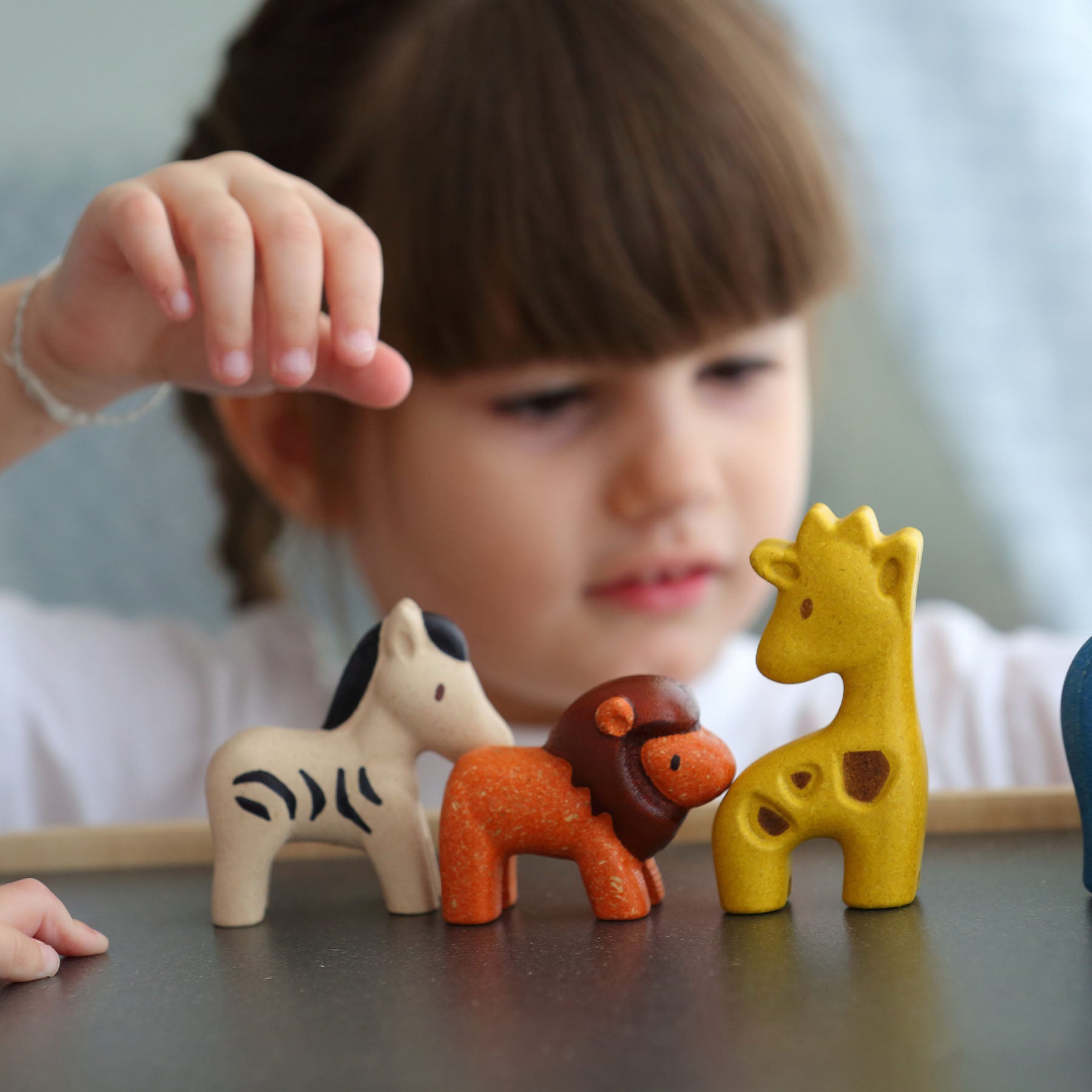 Wooden Wild Animals Playset