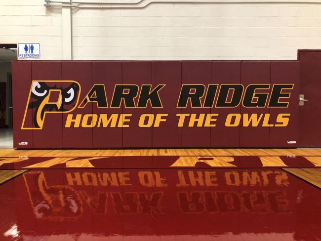 4' x 6' Wall Padding w/Custom Graphics