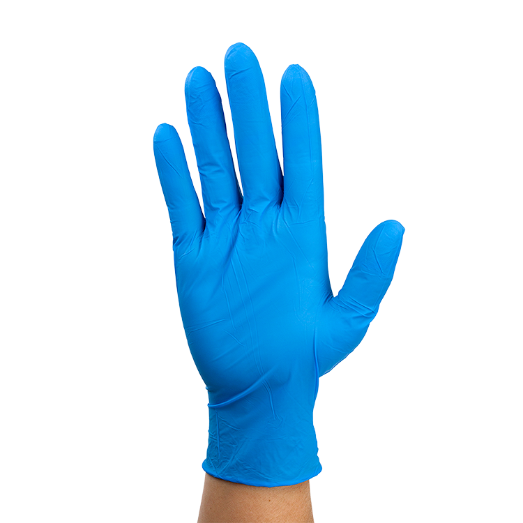 Nitrile Exam Gloves In A Bag, XL, 2 pairs per Bag/500 Bags per Case