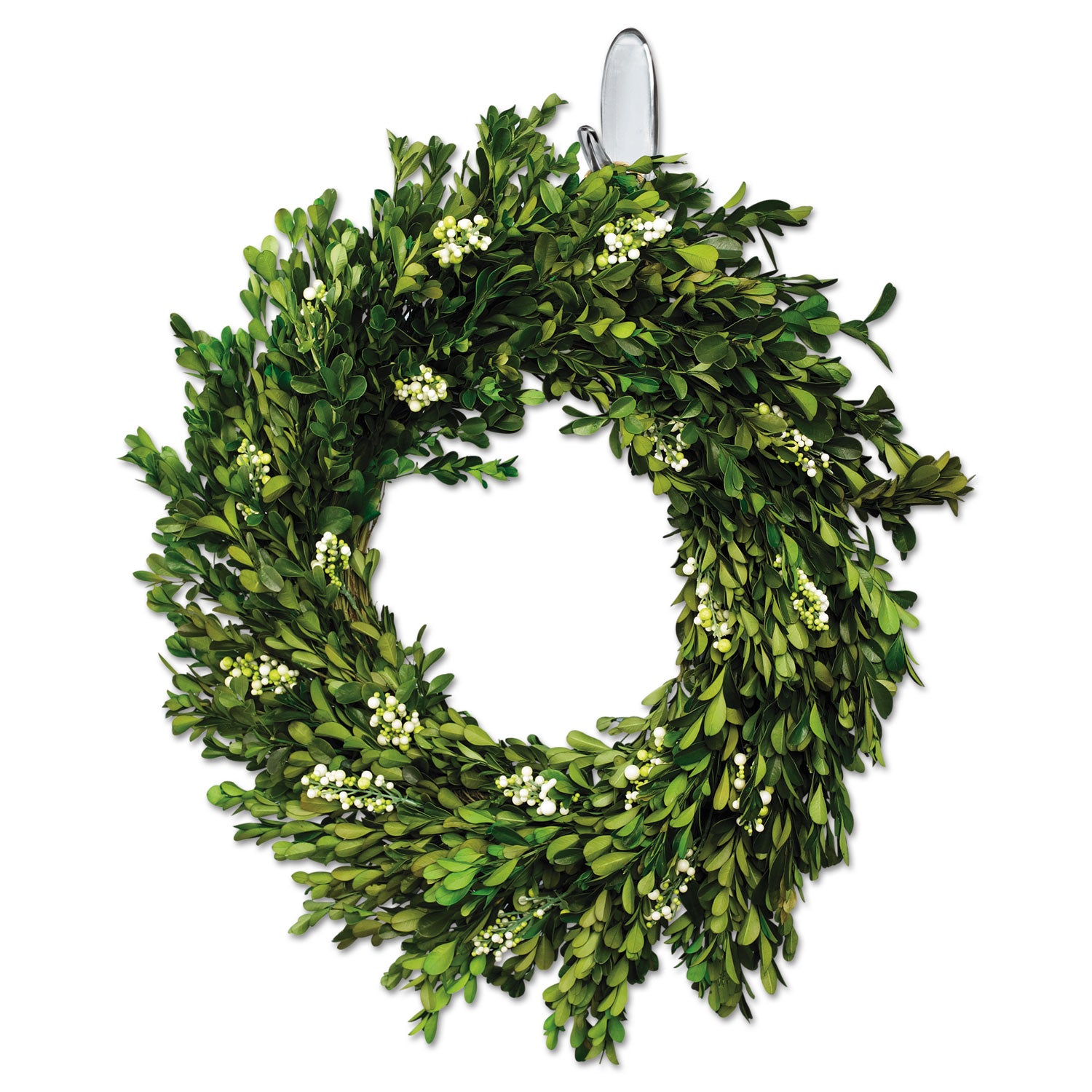2 lb (907.2 g) Capacity - for Decoration - Plastic - 2 / Pack