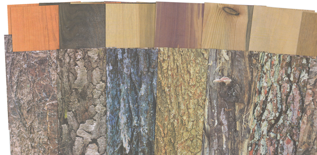Roylco Terrific Tree Craft Paper - Double-Sided Wood Grain & Bark Patterns  8 Realistic Designs  32 Sheets 8.5x11  for Nature Crafts & Classroom Proje