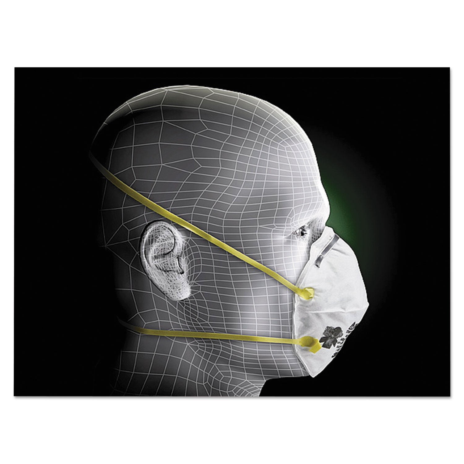 N95 MASKS