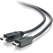 12Ft Usb 2.0 Type C To Mini B