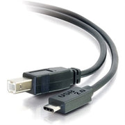 12Ft Usb 2.0 Type C To Standar