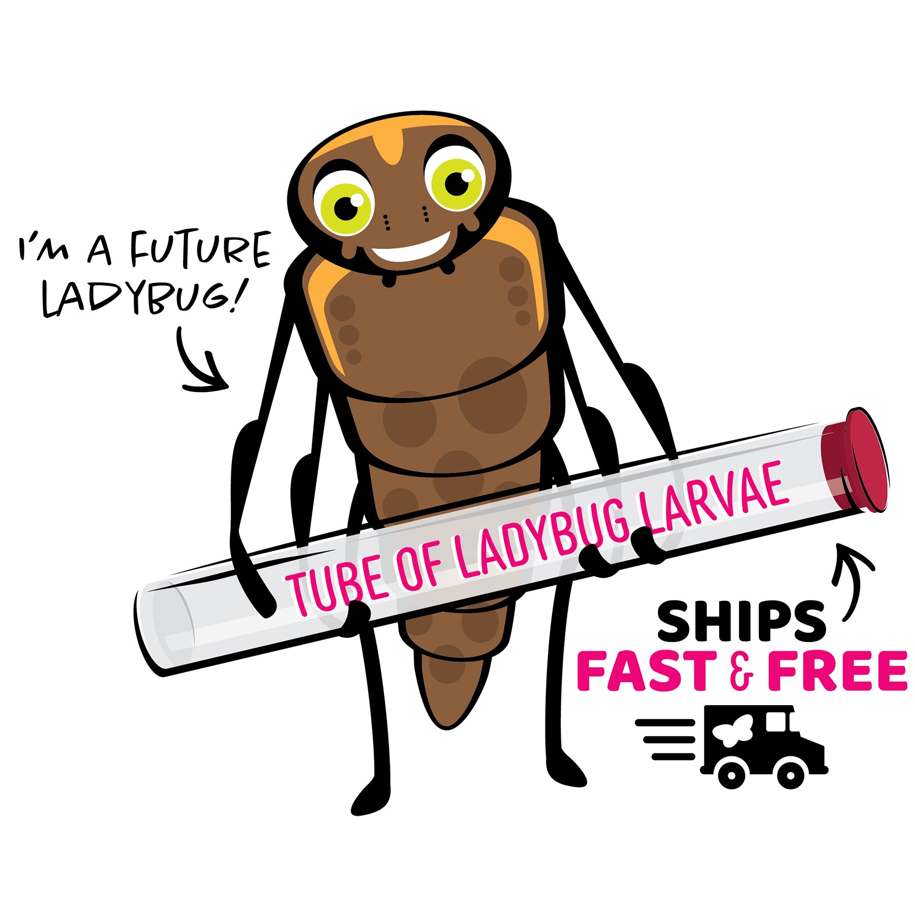 Ladybug Land with Prepaid Voucher