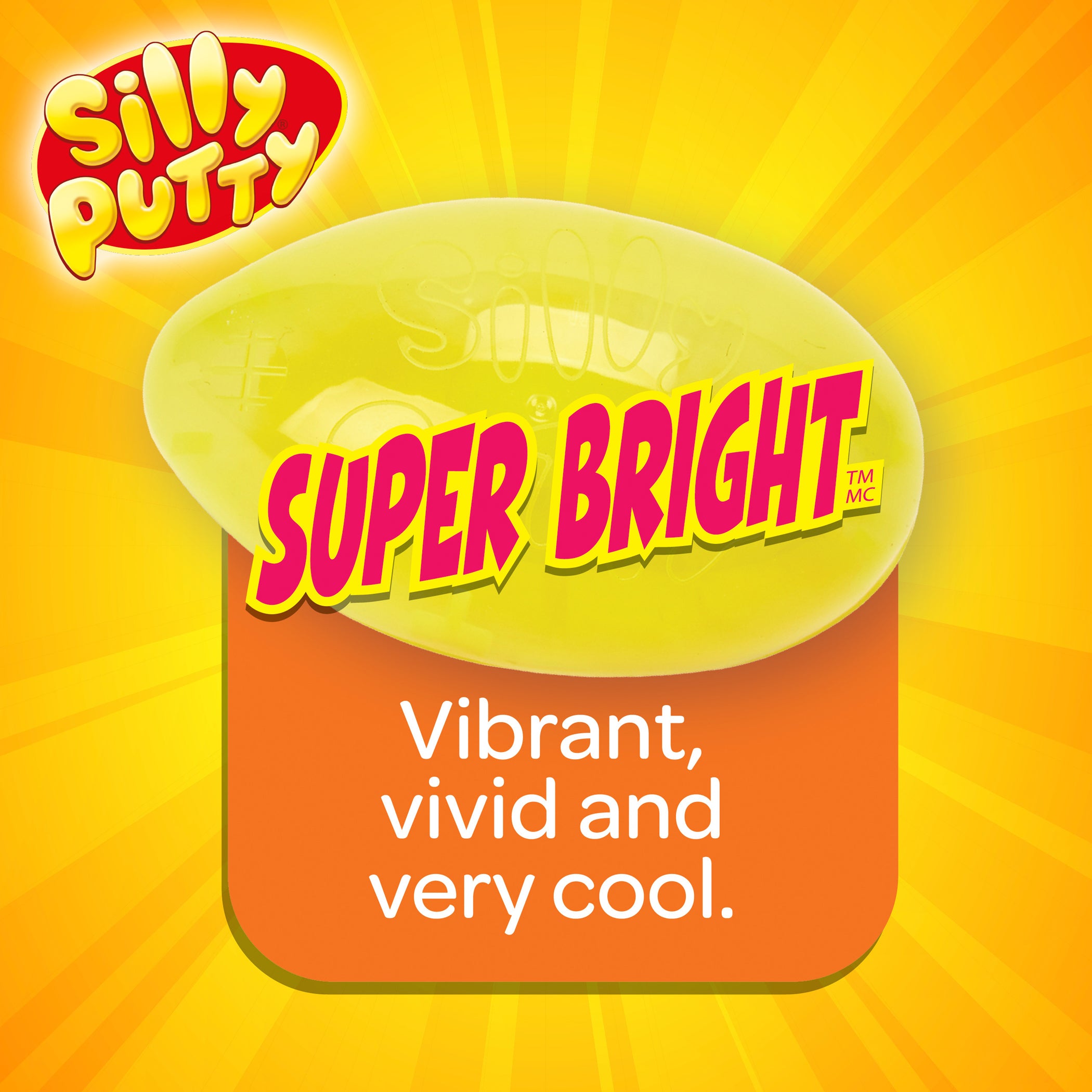 Silly Putty Variety Pack, 4-Pack