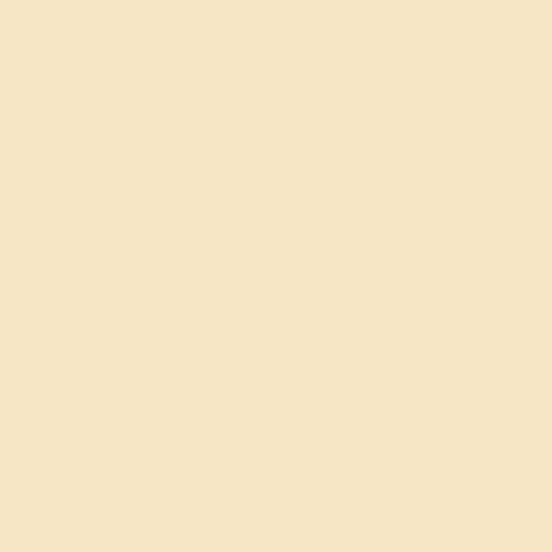 Acrylic Paint Matte, 8oz., Antique White