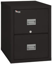 1 Hour Fire Resistant 31" depth File Cabinet with 2 Drawers filing Letter hanging folders (Black)