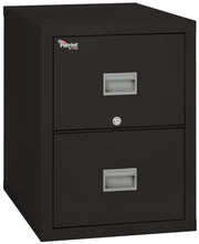 1 Hour Fire Resistant 31" depth File Cabinet with 2 Drawers filing Legal hanging folders (Black)