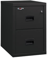Fire Rated 2 drawer 22" depth letter/legal file cabinet (Black)