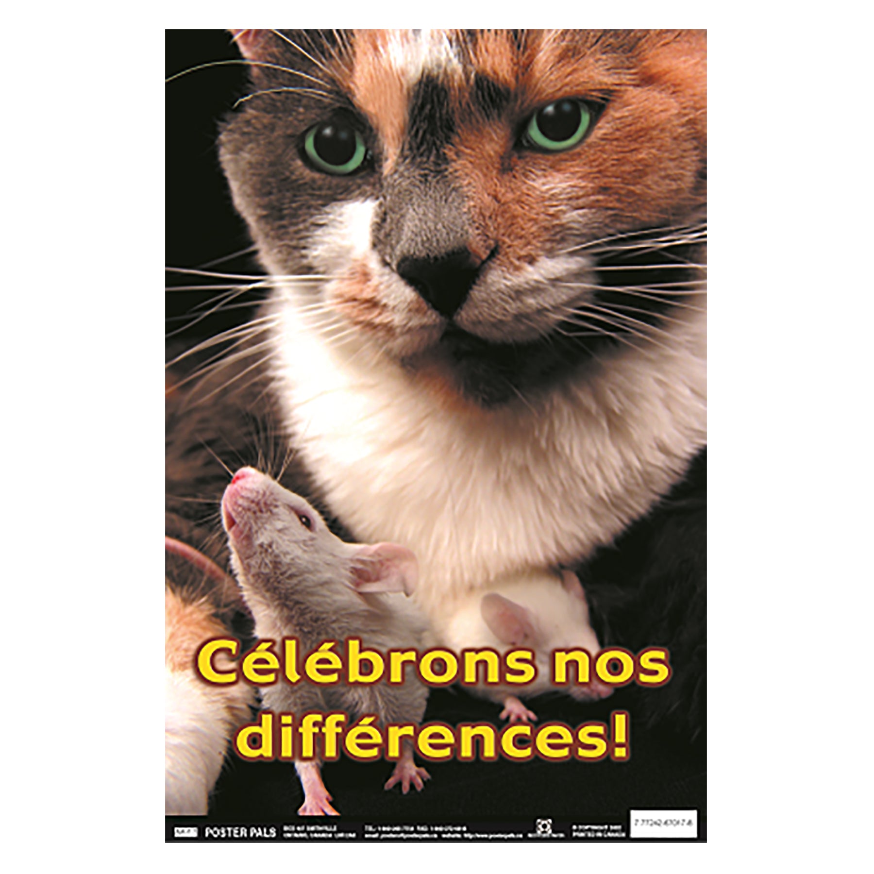 French Fun Photo Posters Set #10, 12" x 18", Set of 4